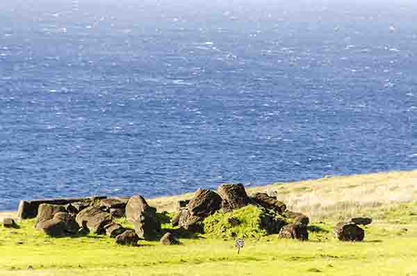 193 - Chile - isla de Rapa Nui o Pascua - Vinapu - Ahu Tahira